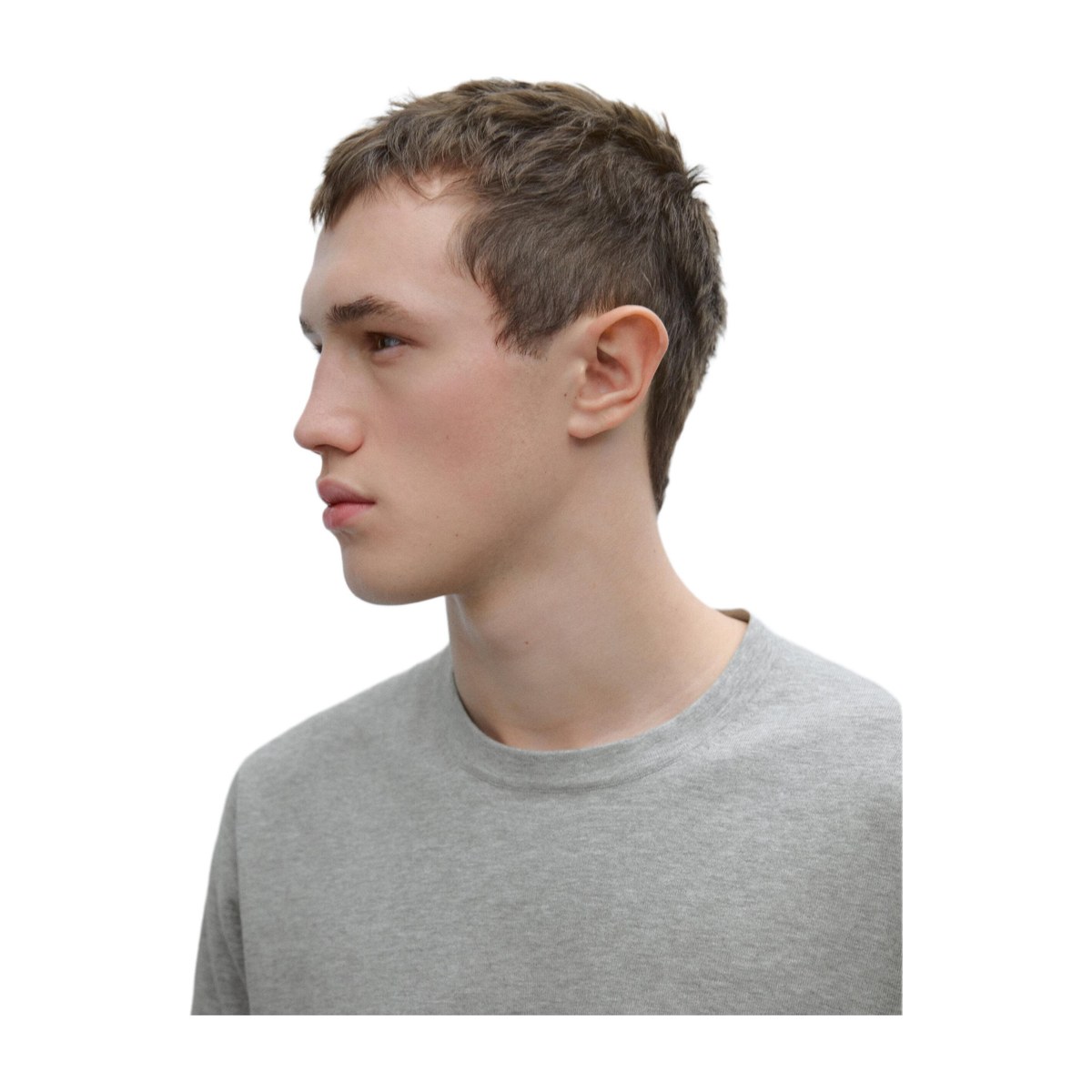 Massimo Dutti T