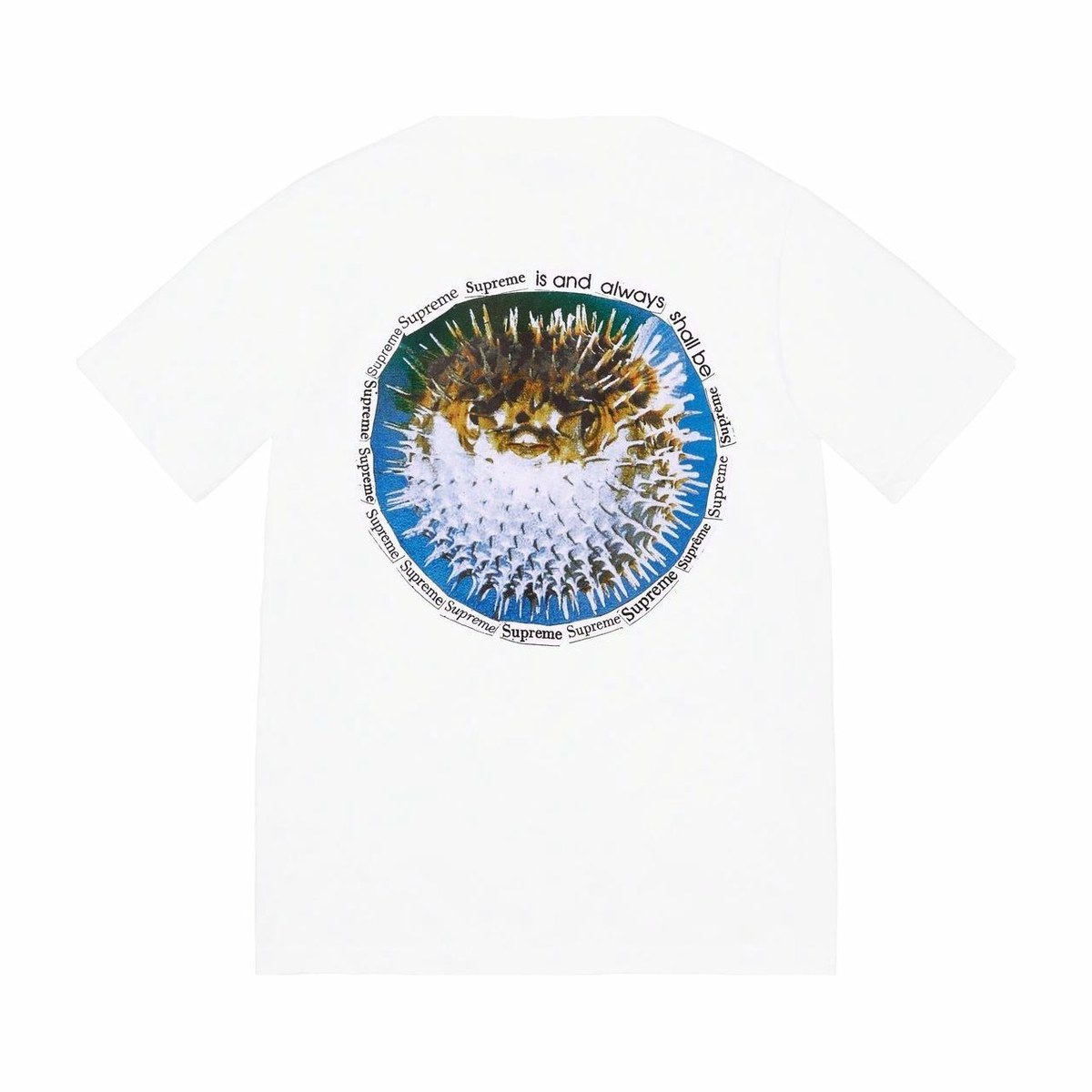 Supreme Blowfish Tee