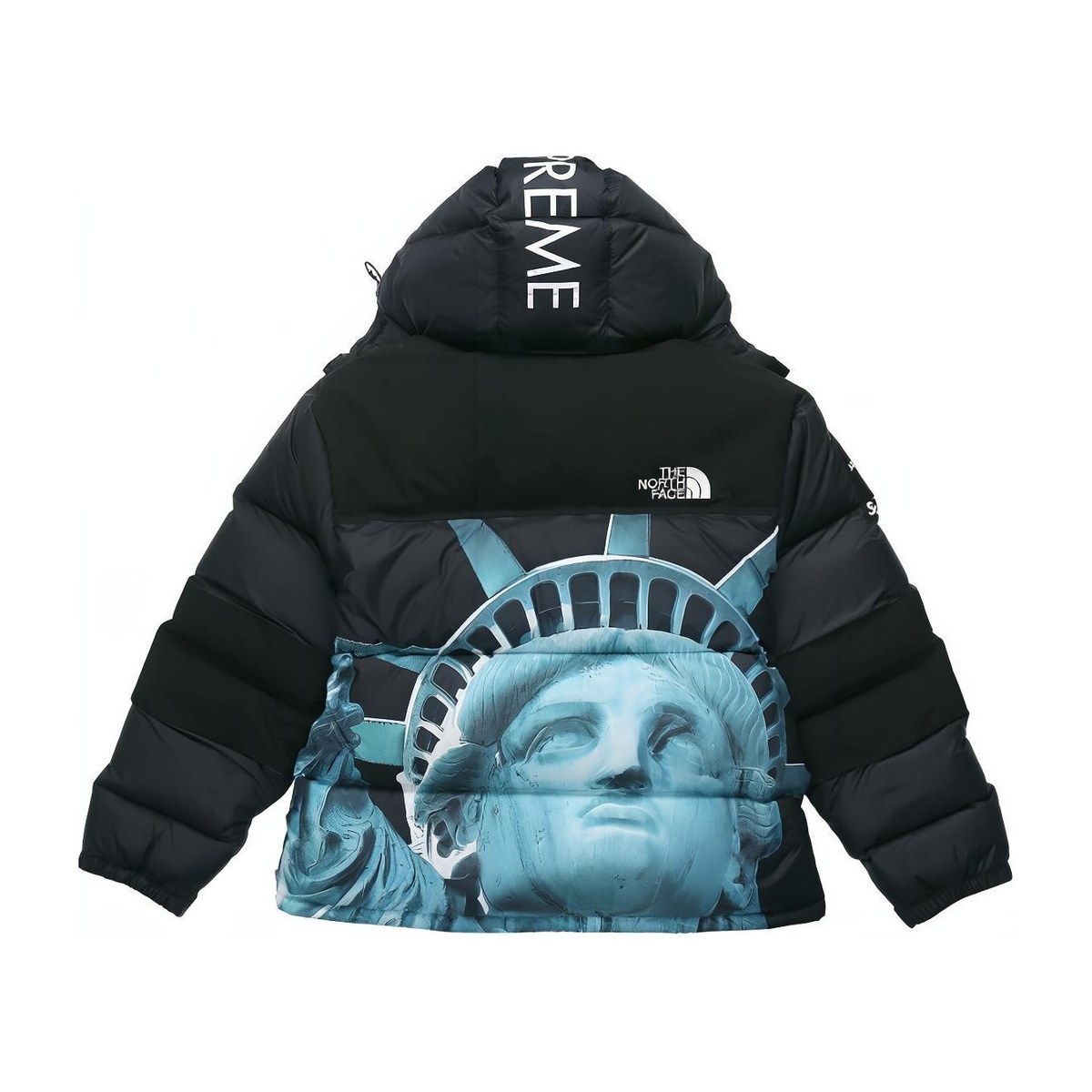 Supreme x The North Face Statue of Liberty Baltoro Black