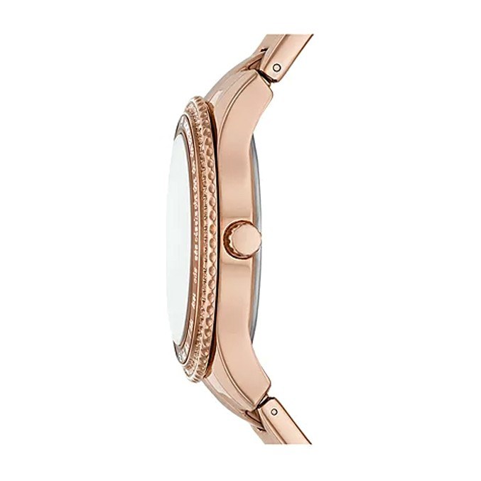 Fossil Stella