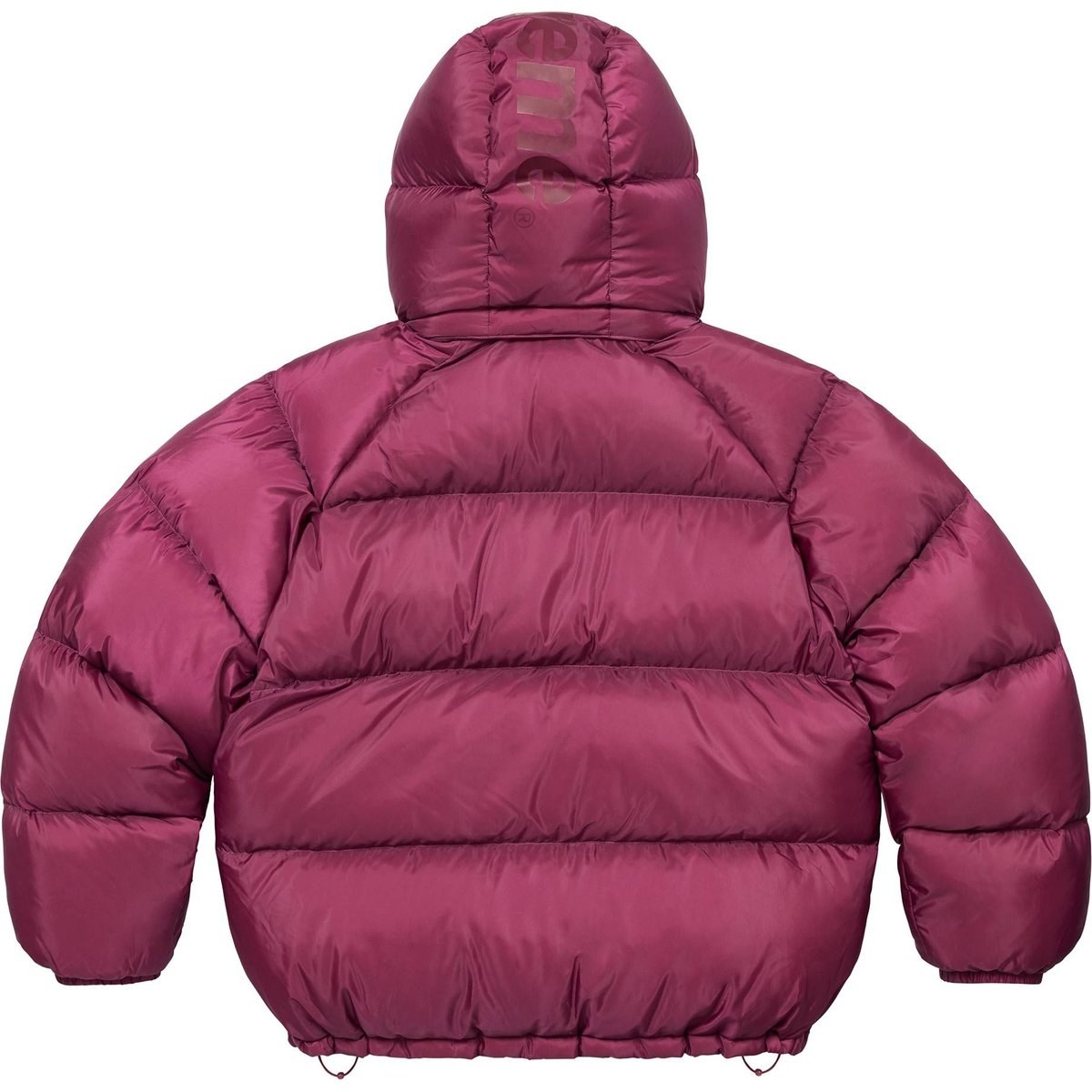 Supreme FW24 700-Fill Down Puffer Jacket