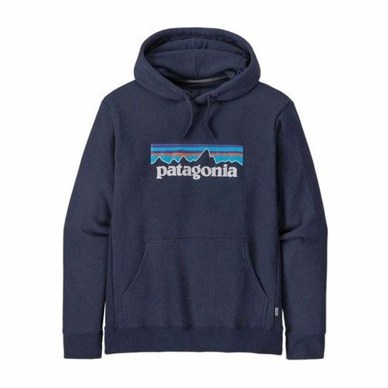 Patagonia Logo Hoodie