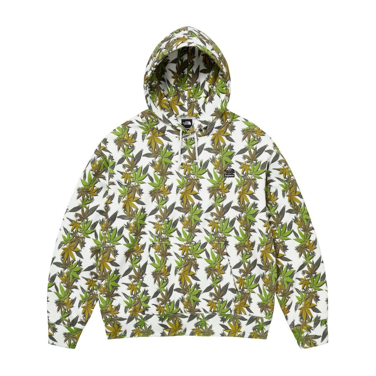 Supreme x The North Face FW23 Hoodie