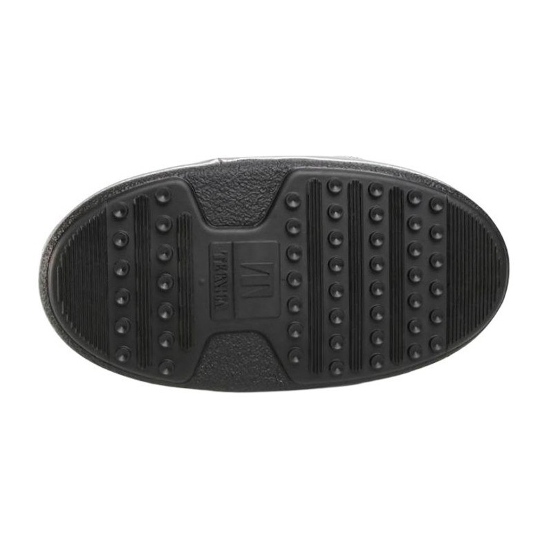 Moon Boot Silver