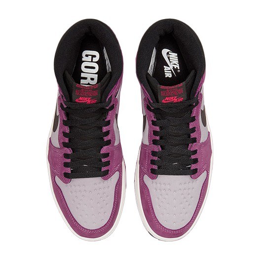 Jordan Air Jordan 1 Element GORE-TEX "Berry"
