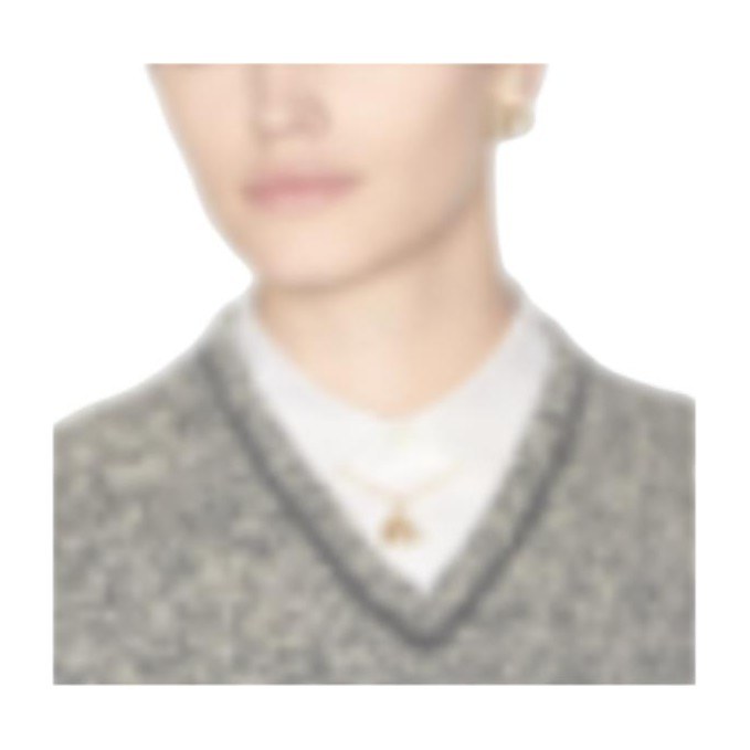 Dior Earrings