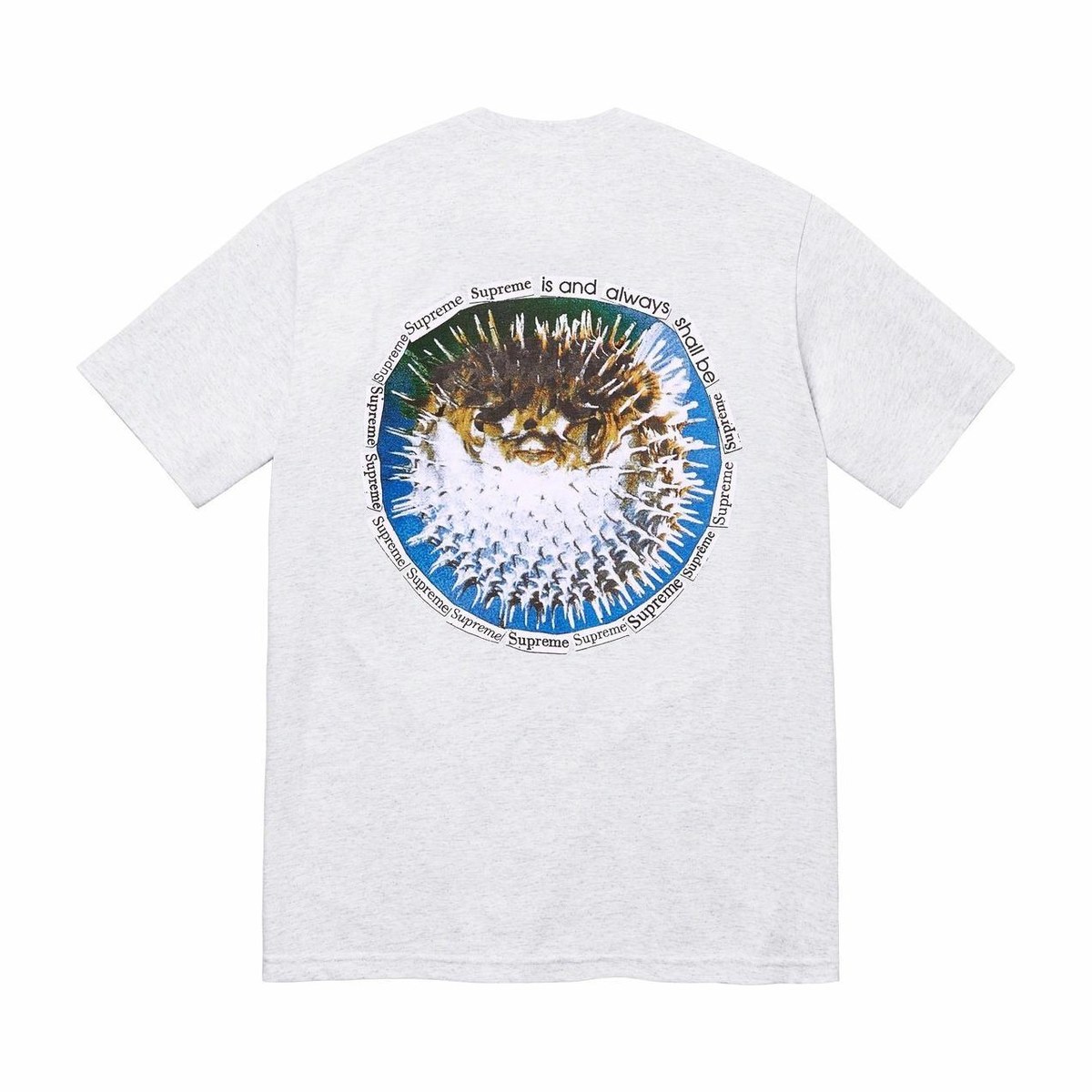 Supreme Blowfish Tee