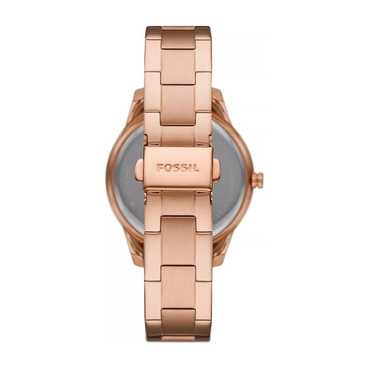 Fossil Stella