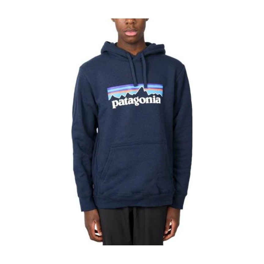 Patagonia Logo Hoodie