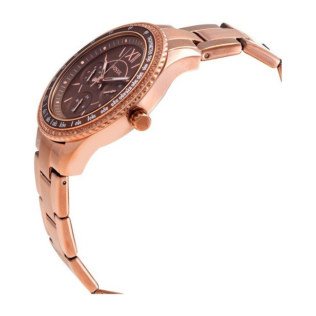 Fossil Stella