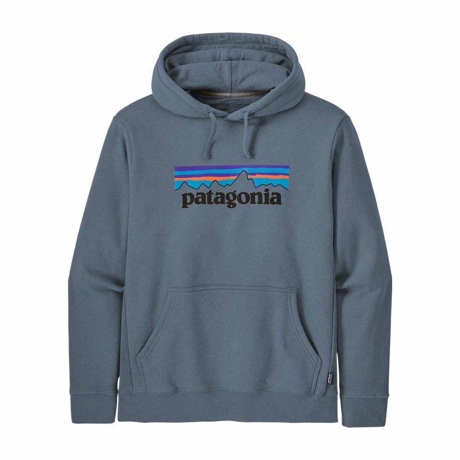 Patagonia Logo Hoodie