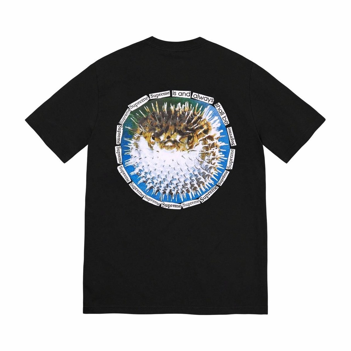 Supreme Blowfish Tee