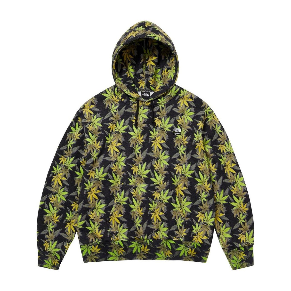 Supreme x The North Face FW23 Hoodie