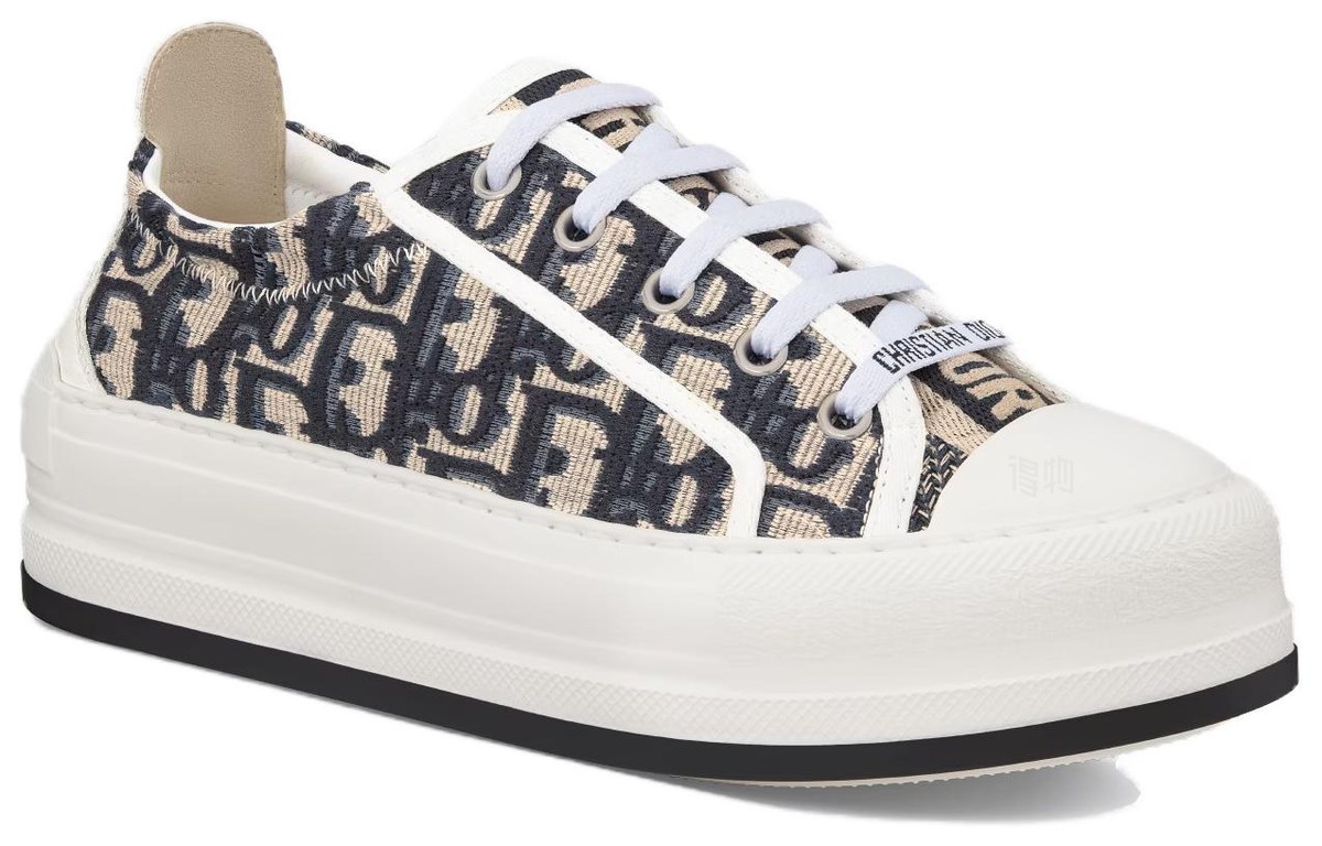 DIOR Walk'n'Dior Oblique