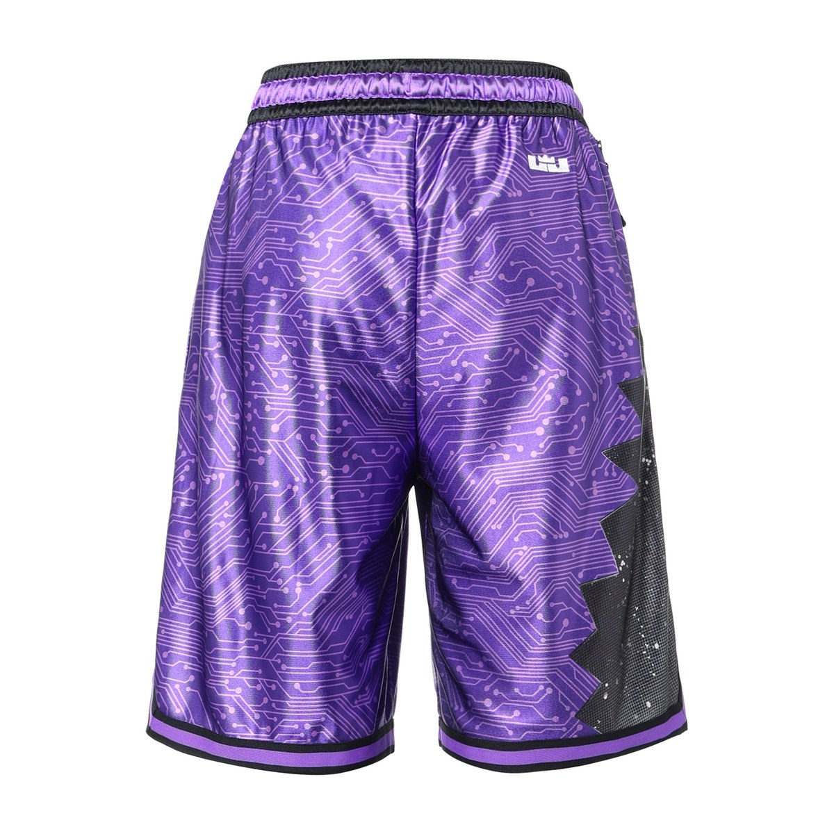 Nike x Space Jam LeBron "Tune Squad" Shorts