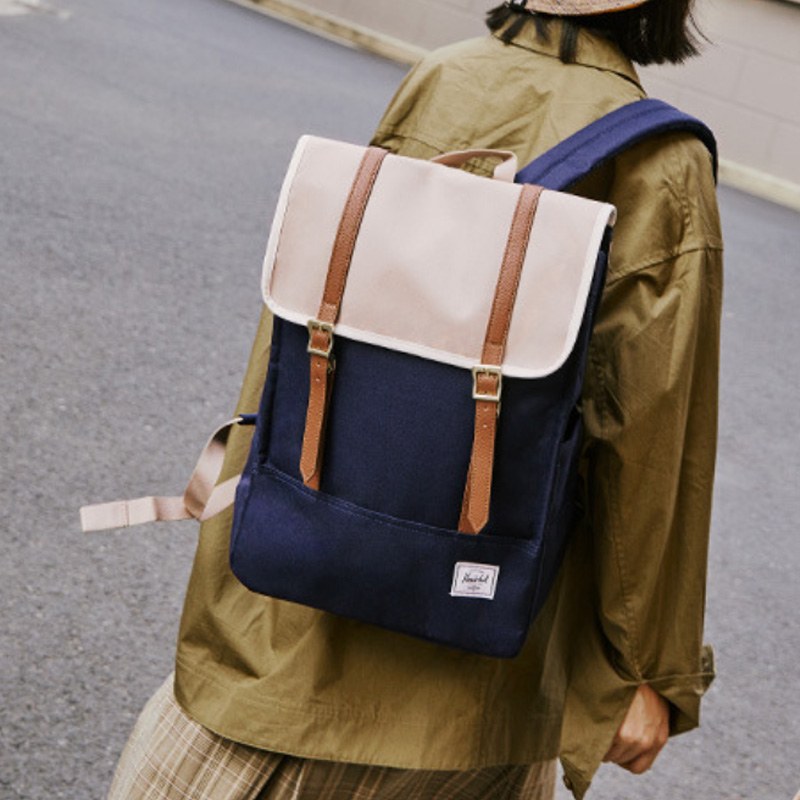 Herschel Survey Indigo