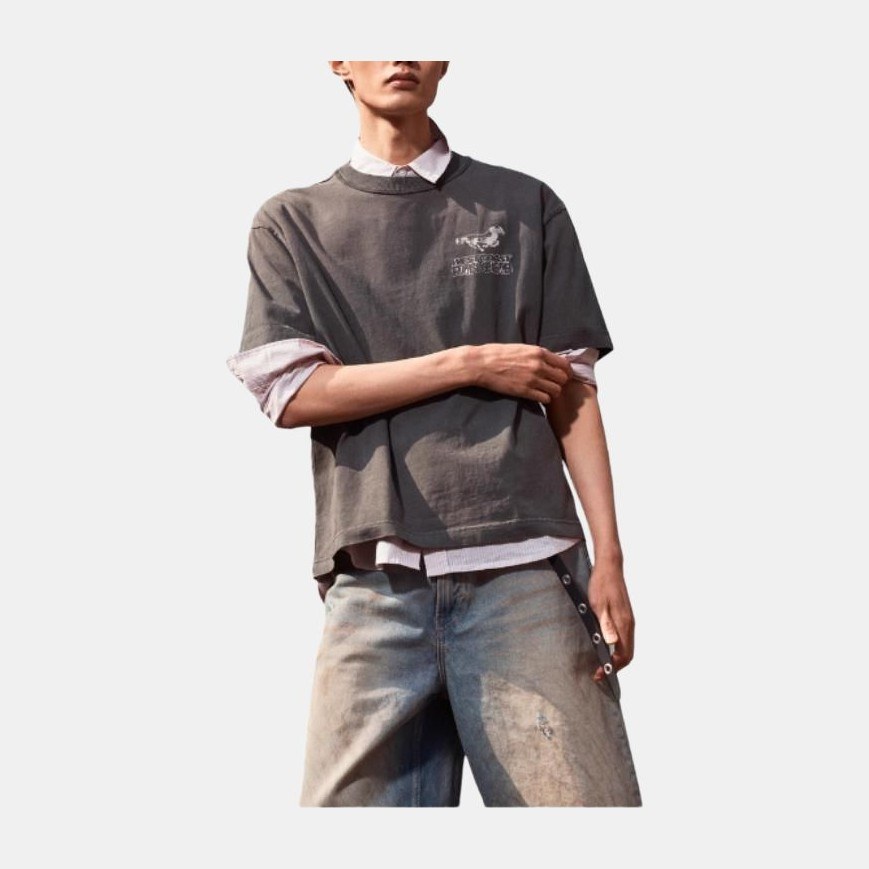 HM T