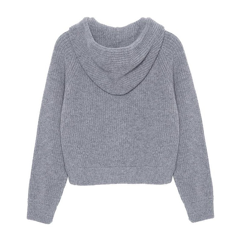 CELINE Logo Wool Hoodie Gray