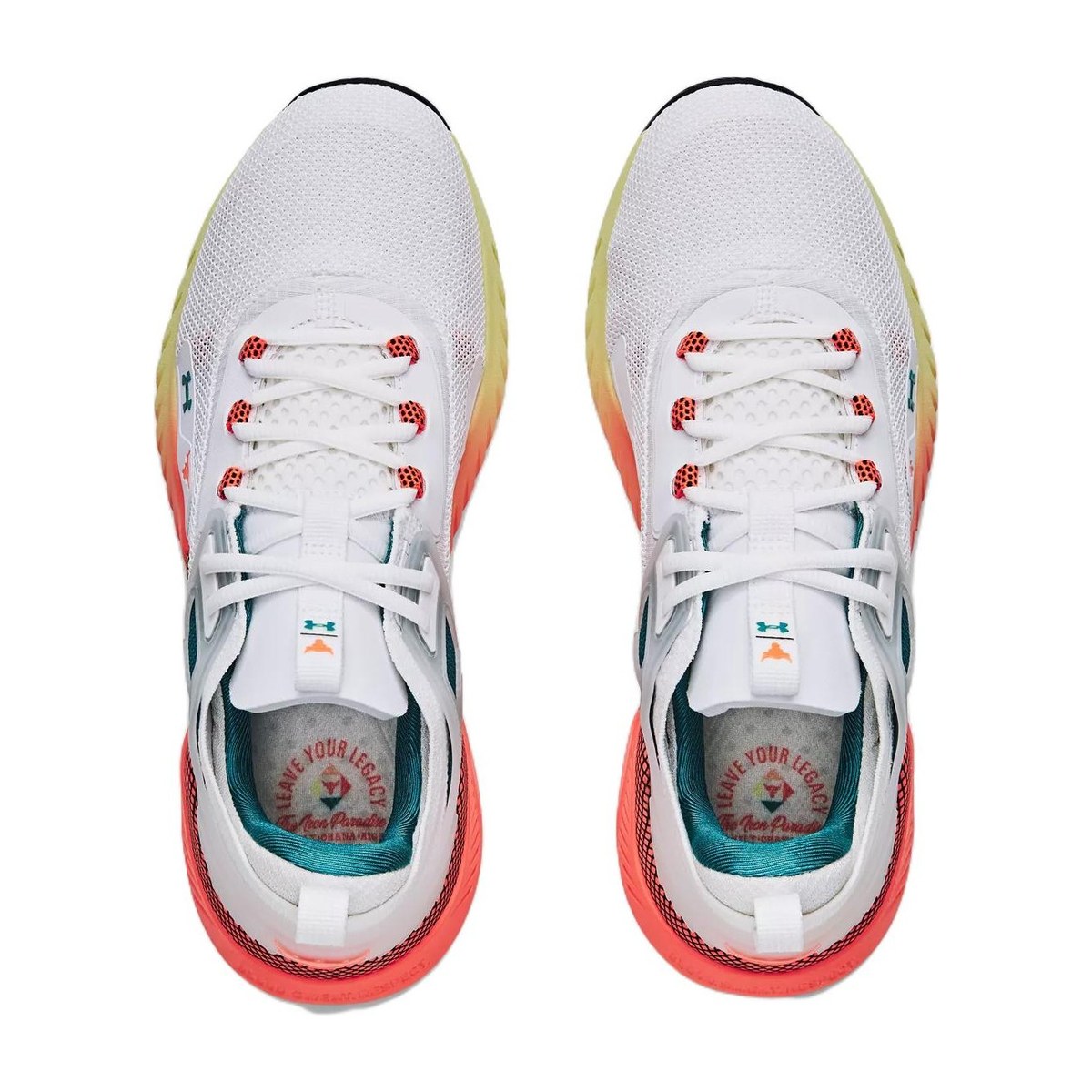 Under Armour Project Rock 5
