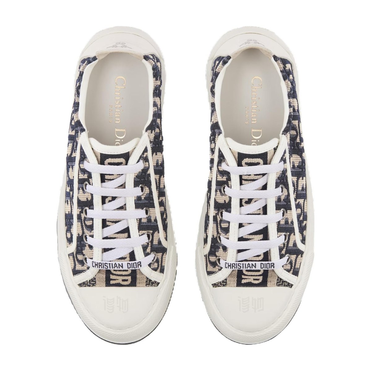 DIOR Walk'n'Dior Oblique