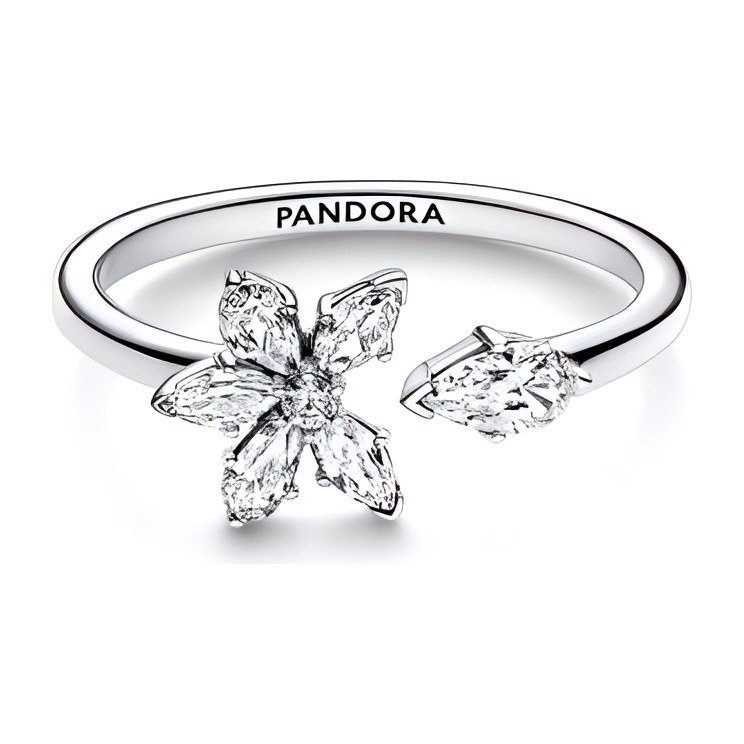 Pandora True Timeless Snowflake Ring
