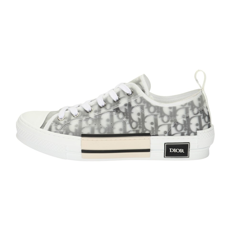 Dior B23 Oblique