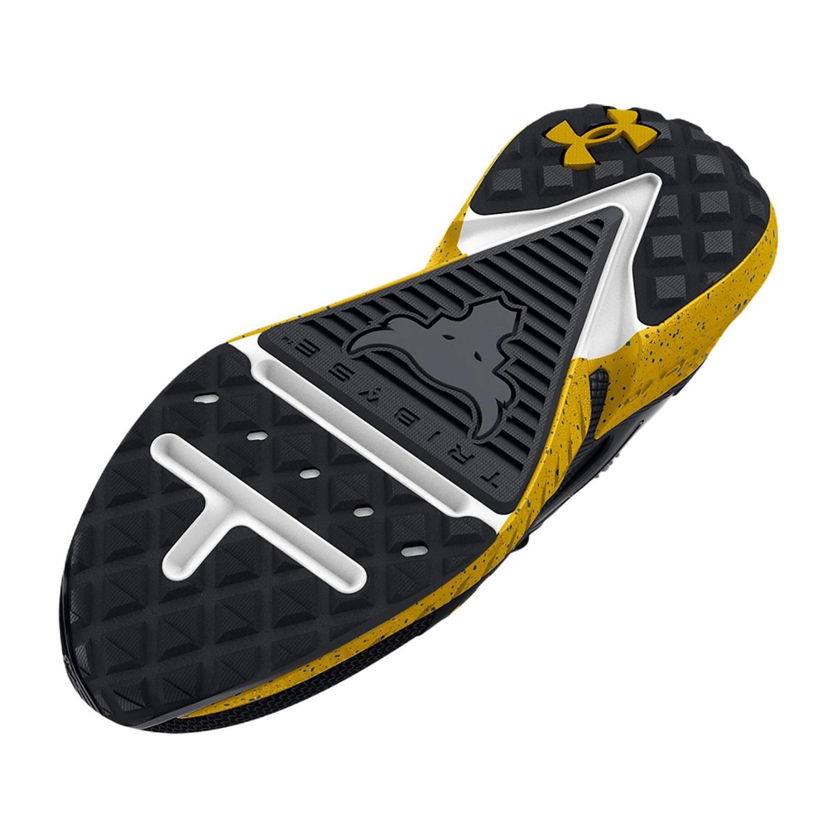 Under Armour Project Rock 5