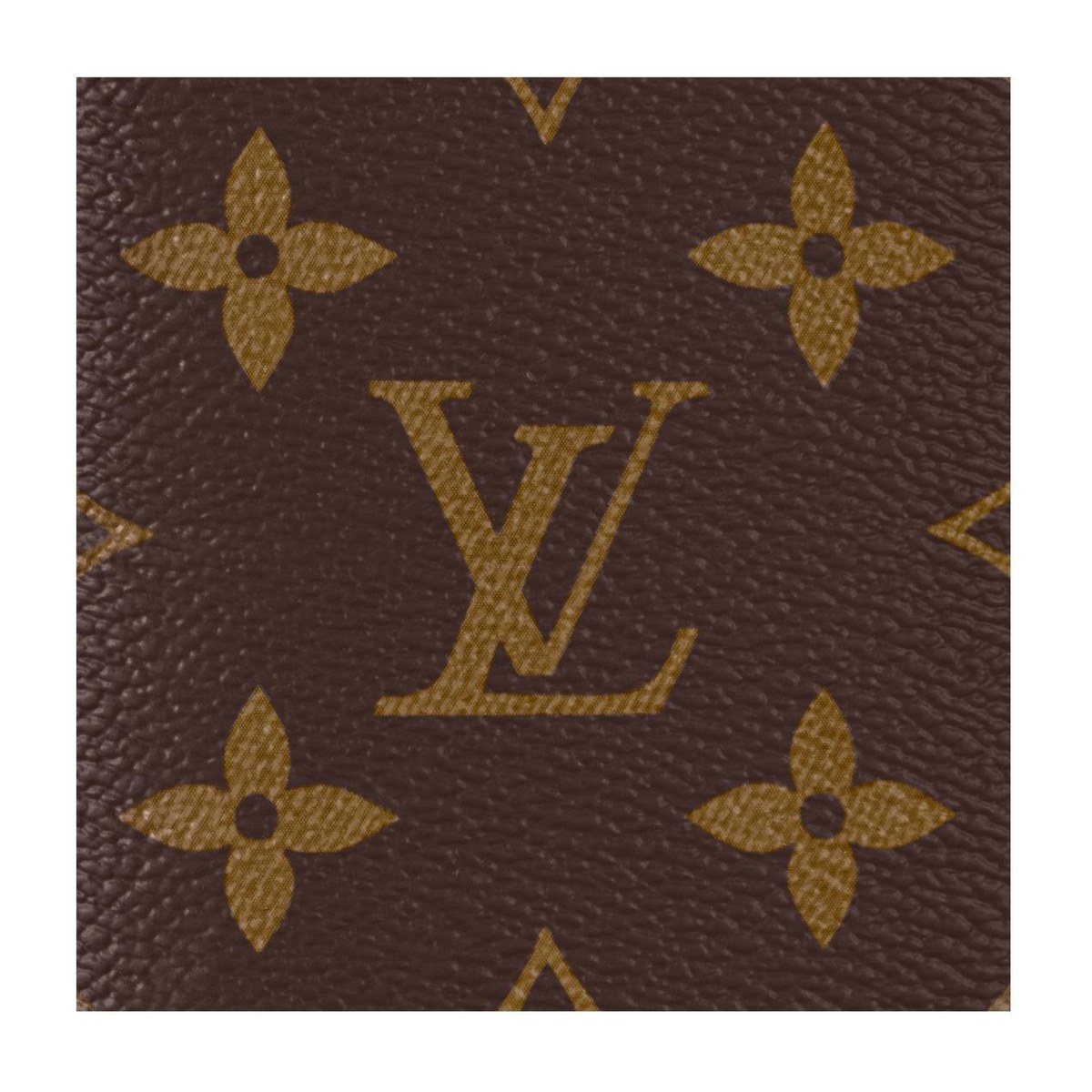 Louis Vuitton Card Holder Brown