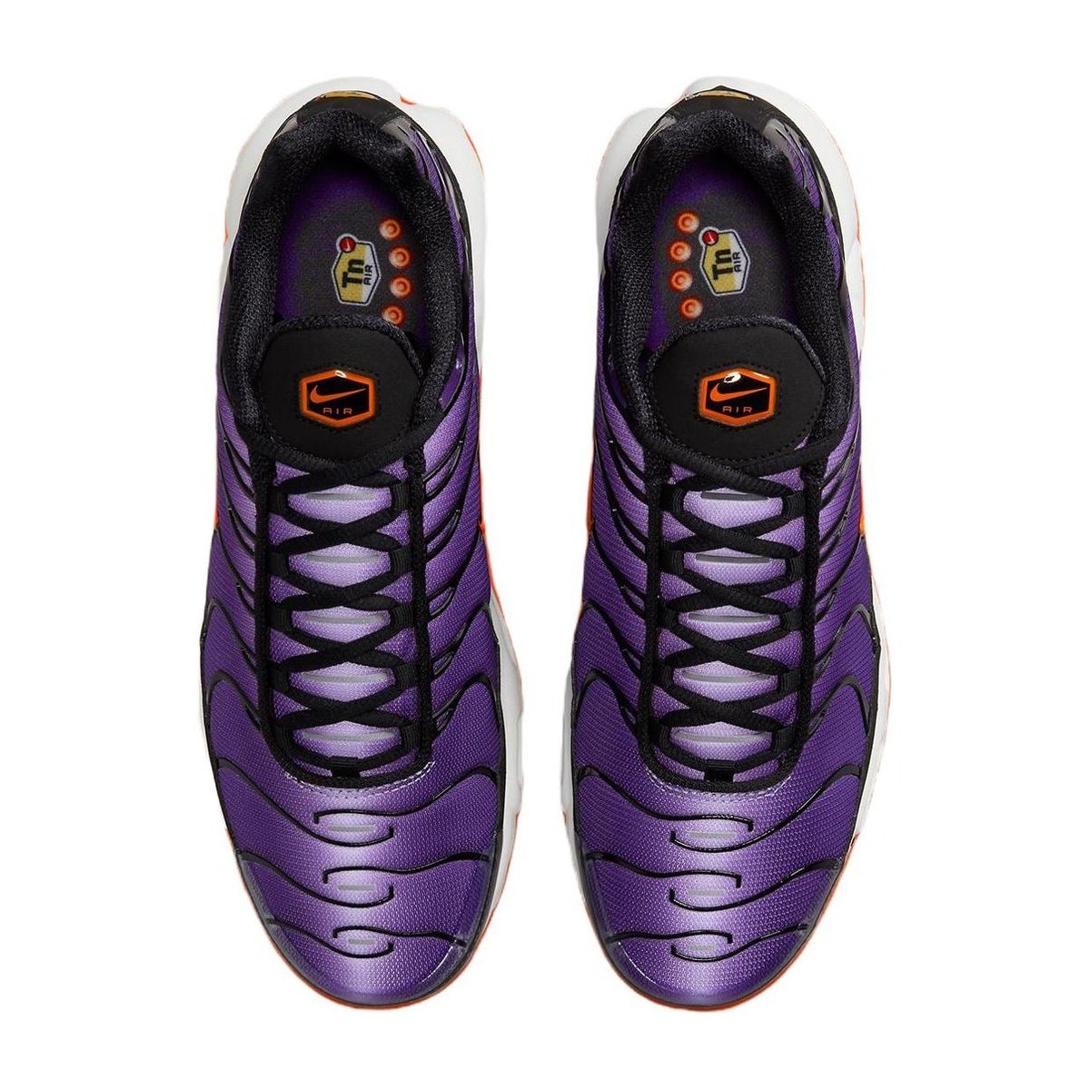 Nike Air Max Plus Purple Black