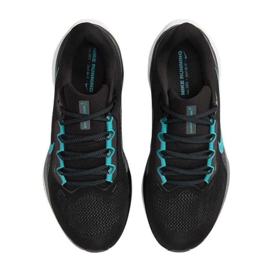 Nike Pegasus 41