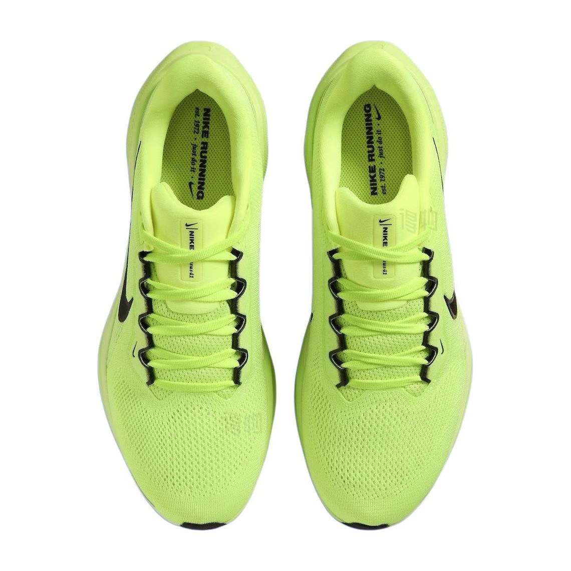 Nike Pegasus 41 Green