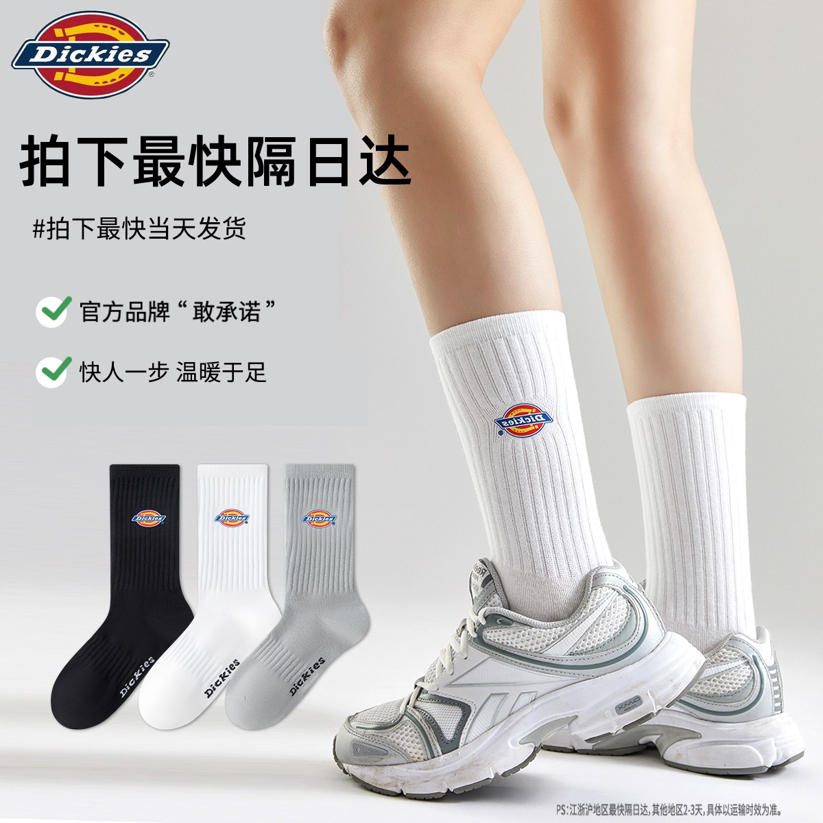 Dickies 10A