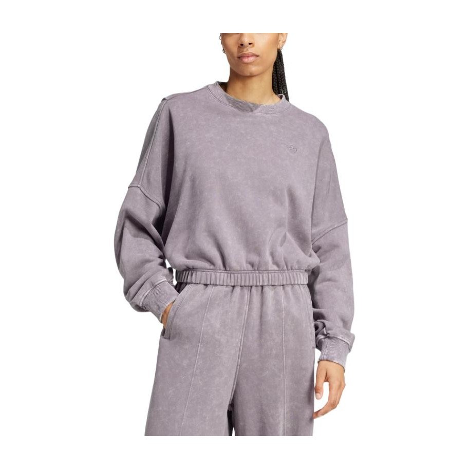 adidas Originals Premium Essentials Washed FW24 Crewneck Sweatshirt Gray