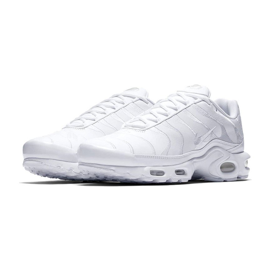 Nike Air Max Plus