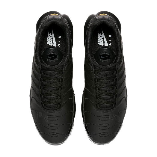 Nike Air Max Plus Triple Black