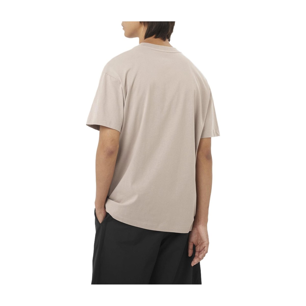 SALOMON T