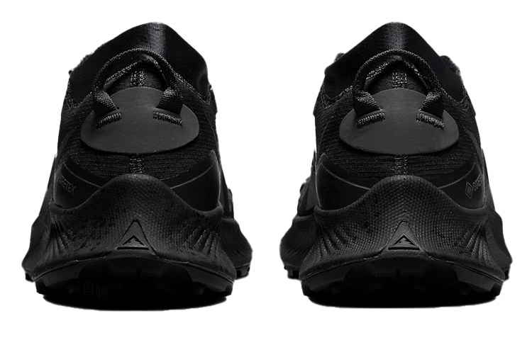 Nike Pegasus Trail 3 Gore-Tex Black