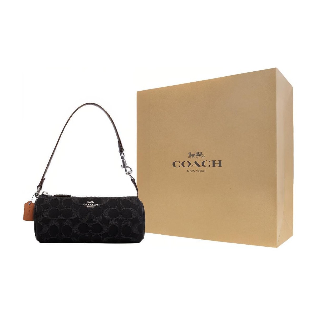 COACH Nolita 20