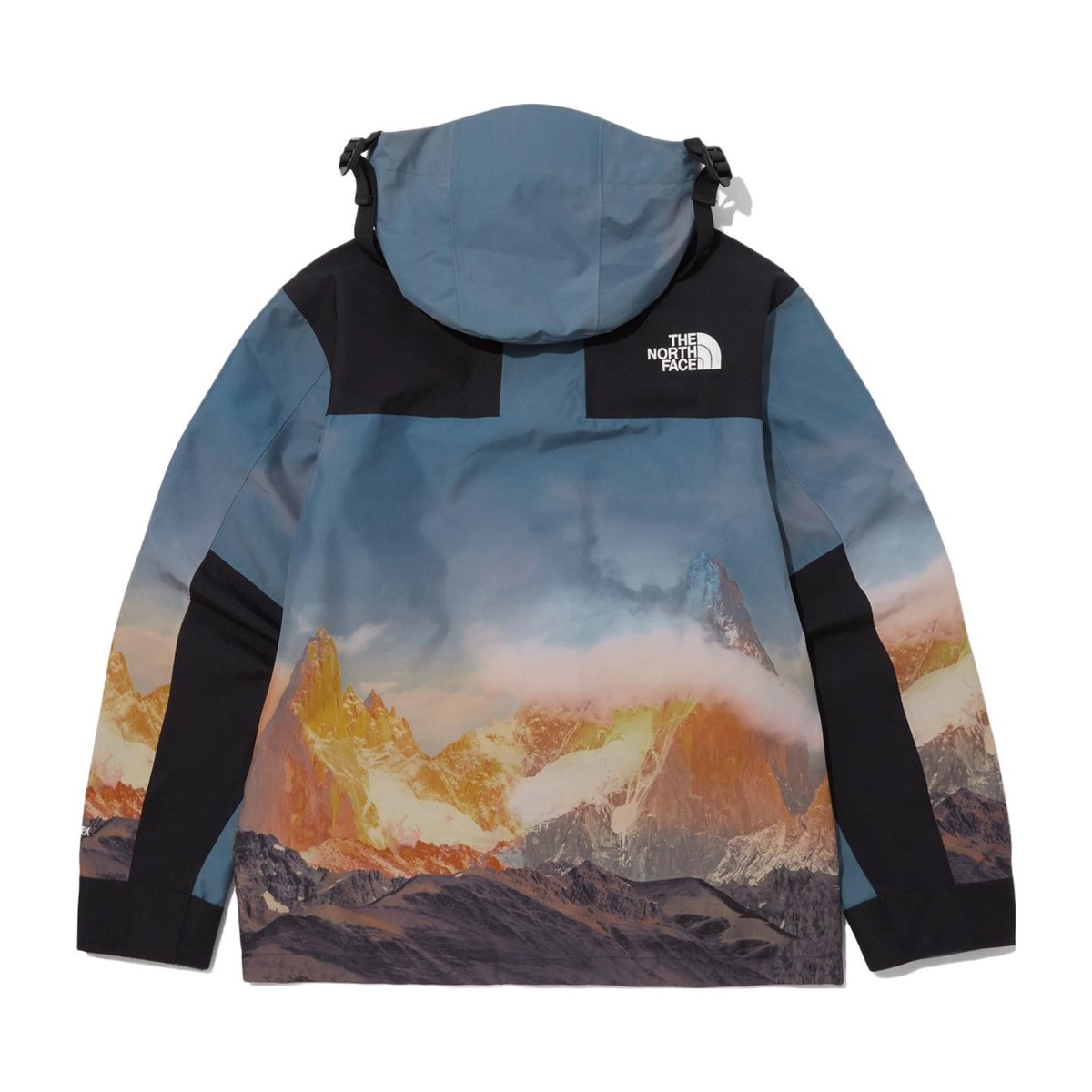 The North Face 1990 Gore-tex Mountain Vista Jacket