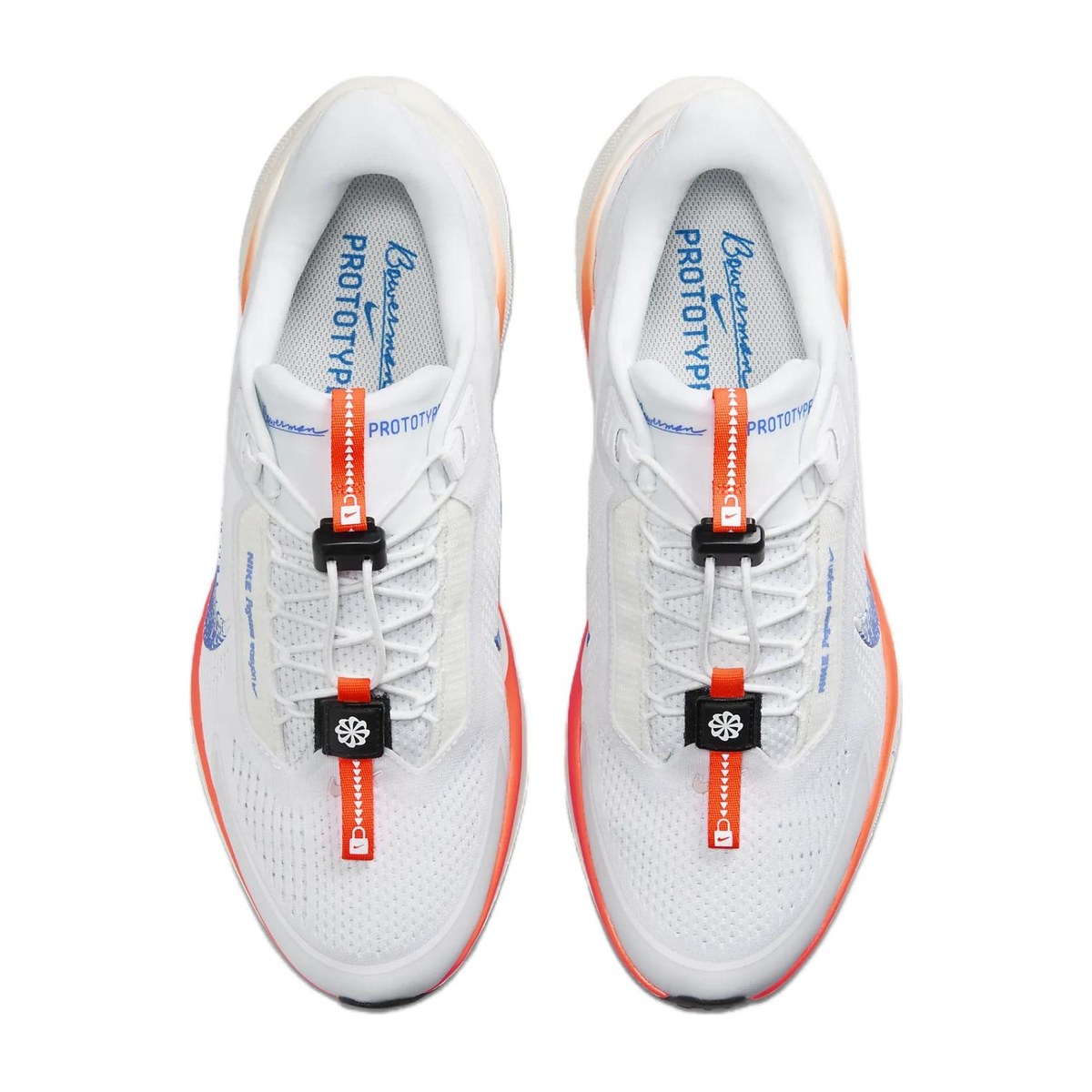 Nike Pegasus Ezion Blueprint