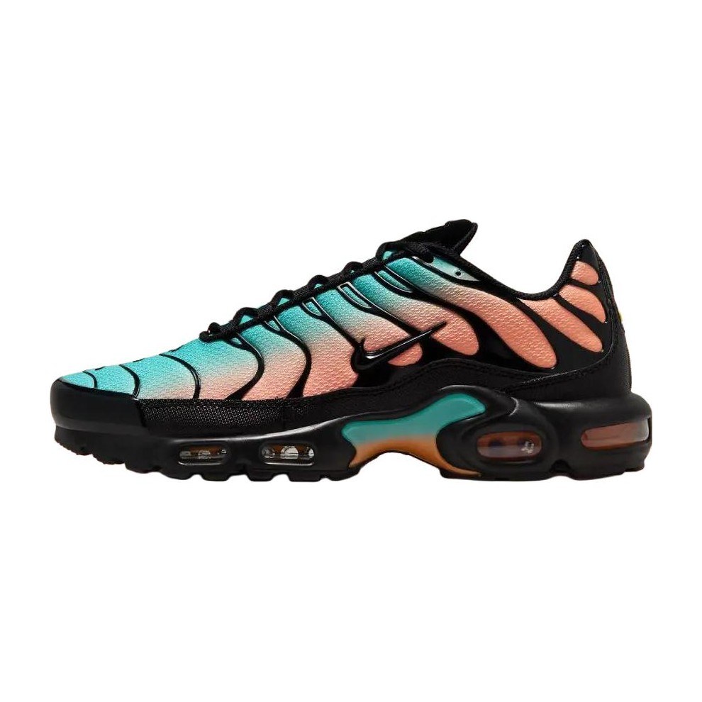 Nike Air Max Plus "South Florida"