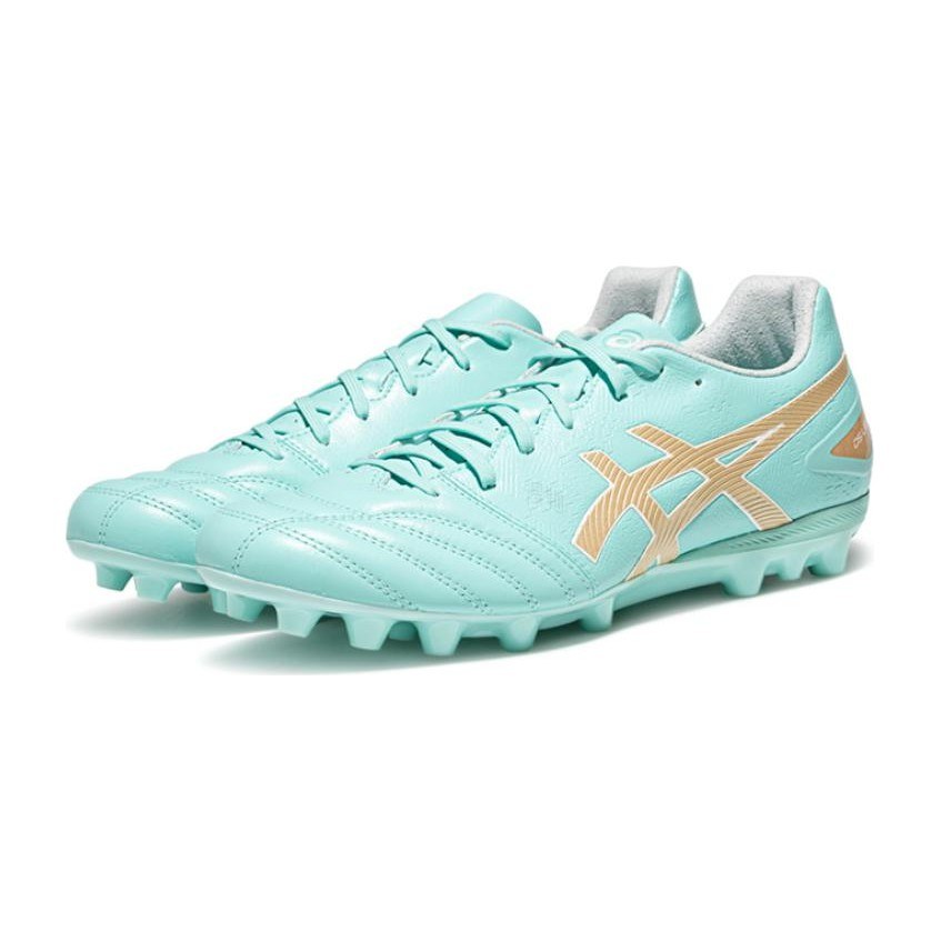 Asics DS LIGHT PRO AG