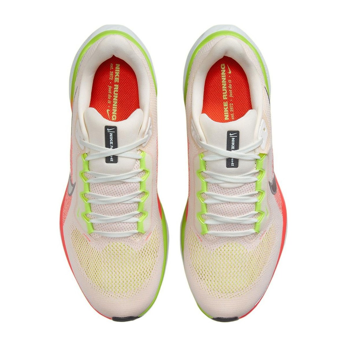 Nike Pegasus 41