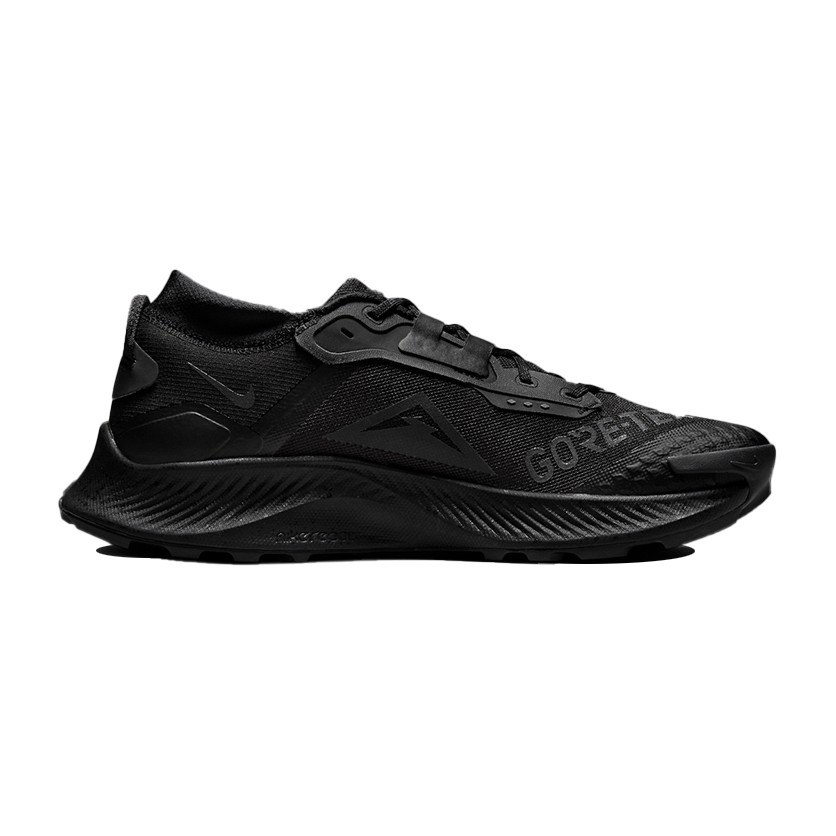 Nike Pegasus Trail 3 Gore-Tex Black