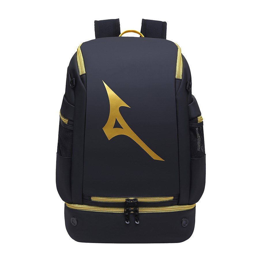Mizuno