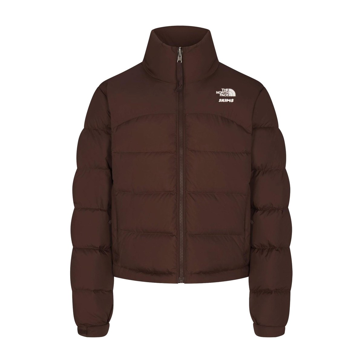 The North Face x Skims FW24 Ski Jacket Brown