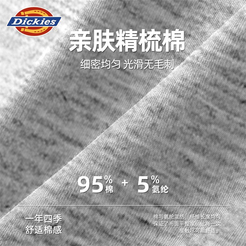 Dickies Arrow Shorts