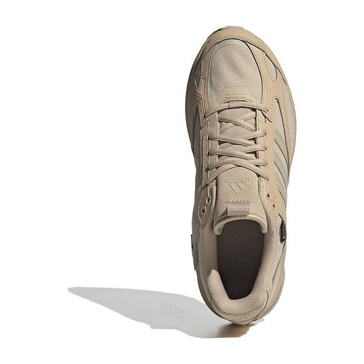 adidas Spiritain 2000 GTX Brown