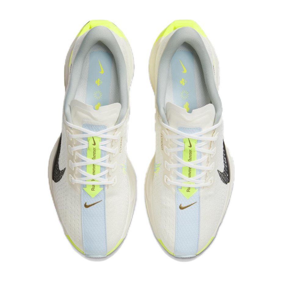 Nike Pegasus Plus