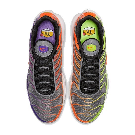 Nike Air Max Plus Color Flip